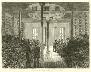 1865年4月约翰斯顿投降的小武器 作者 美国学校