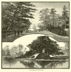 Mikados场地 作者 美国学校