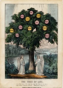 生命之树，酒吧。作者：Currier＆Ives，1870年 作者 美国学校