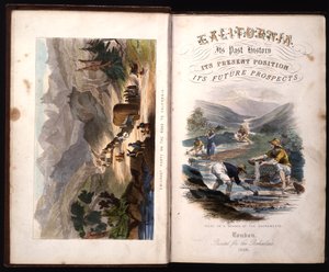 加州的标题页，其过去的历史，现在的位置，以及1850年GA Fleming的未来前景 作者 美国学校