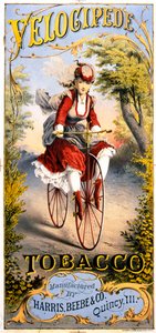Velocipede 烟草杂志广告 作者 美国学校