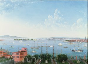 纽约港的视图从布鲁克林高地，1860年（亚麻油） 作者 美国学校