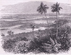 百慕大群岛的景色，插图来自Cassell的《美国历史》，由Petter & Galpin出版，约1890年（平板）。 作者 美国学校