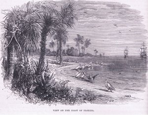 佛罗里达海岸的景色，插图来自卡塞尔的美国酒吧历史。 由 Petter & Galpin c.1890 (石版画) 作者 美国学校