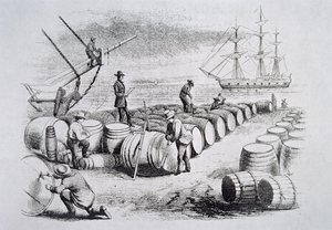 捕鲸者在桶中测油，来自《美国捕鲸业》，约1850年（雕刻）。 作者 美国学校