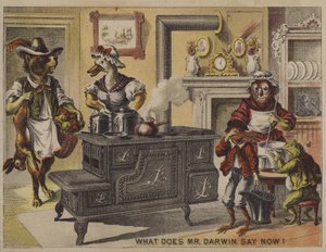 达尔文先生现在怎么说？(chromolitho) 作者 美国学校