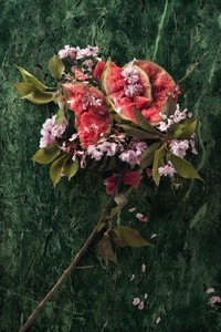 Eve_09, 2016 (摄影) 作者 