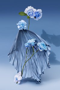 插花》2018 年第 03 期（摄影） 作者 