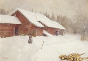 飘雪 作者 安德斯·康斯鲁德
