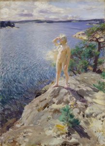 "岩石上 "年轻裸女在海边扫视地平线--安德斯-伦纳德-佐恩（1860-1920 年）1894 年绘画 挪威奥斯陆国家艺术博物馆 作者 伦纳德·佐恩与众不同