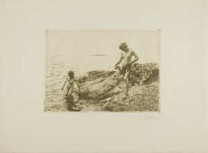 向海 Skerries 作者 伦纳德·佐恩与众不同