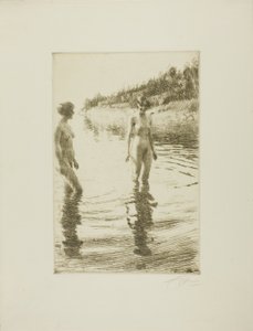 浅 作者 伦纳德·佐恩与众不同