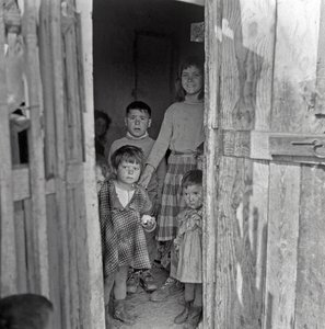 不同年龄的儿童参加课后托管 作者 