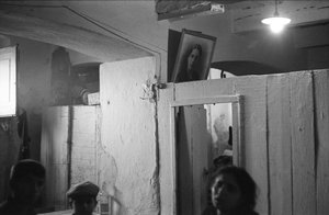 克罗托内 - 地下室 作者 