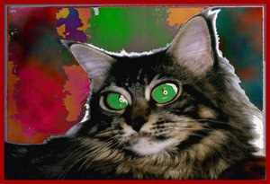 STREGATTONE, 2004（数字绘画） 作者 