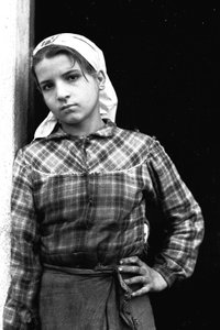 约 1955 年，意大利卡拉布里亚从事橄榄采摘工作的尤格女孩（黑白照片） 作者 