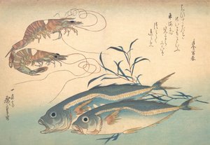 Aji鱼和Kuruma-ebi，来自Uozukushi Every Variety of Fish系列，19世纪30年代。