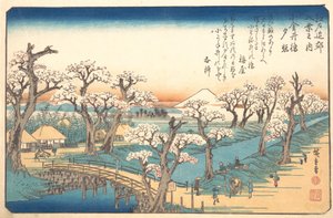 小金井边境的晚霞，19世纪。 作者 Ando Hiroshige