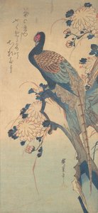 雉鸡与菊花，约1835.，约1835.。 作者 安藤广重