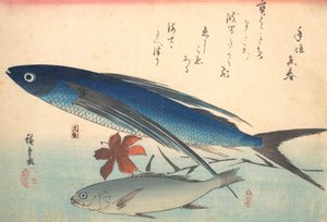 Tobiuo和Ishimochi鱼，来自Uozukushi Every Variety of Fish系列，1840年代。 作者 安藤广重