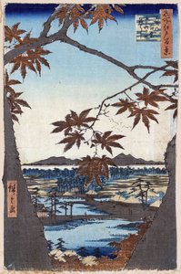 "江户百景"（实际东京）：枫叶与天皇神社和妈妈桥。枫叶与天可那神社和妈妈桥（江户百景）。日本版画 作者 安藤或歌川广重
