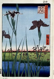 "江户百景：堀切的菖蒲。(堀切的鸢尾花（《江户百景图》） 日本版画家宇多川广重（1797-1858 年） 1856-1858 年 圣彼得堡冬宫博物馆 作者 安藤或歌川广重