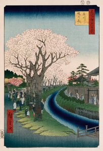 “樱花，多摩河路堤” 作者 Ando or Utagawa Hiroshige