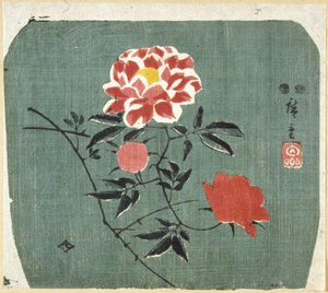 扇面印花：玫瑰 作者 安藤或歌川广重
