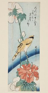 芙蓉和黑枕金莺（彩色木版画）