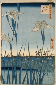 Horikiri Iris Garden 作者 安藤或歌川广重