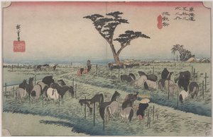初夏的马博会 作者 安藤或歌川广重