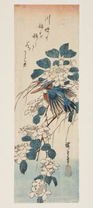 翠鸟和荚蒾（彩色木版画） 作者 安藤或歌川广重