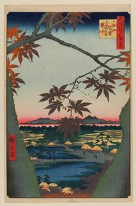 妈妈的枫树、帝科纳神社和连桥 作者 安藤或歌川广重