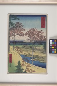 东都目黑的暮光之丘（转：目黑 Y 日高冈）（彩色木刻版画） 作者 安藤或歌川广重