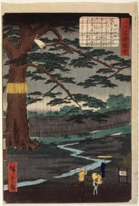 Miyuki Pine（彩色木刻版画） 作者 安藤或歌川广重