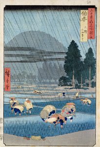 可以远眺大山地区的厚木省水稻种植（木刻版画） 作者 安藤或歌川广重