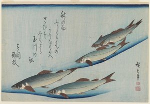 江户时代五海鳟鱼学校（彩色木版画在纸上） 作者 安藤或歌川广重