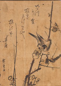 鸟栖息在树枝上的研究 作者 安藤或歌川广重
