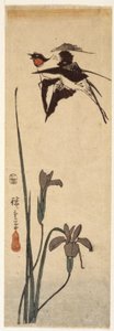 燕子和鸢尾花（彩色木刻版画） 作者 安藤或歌川广重