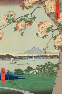 隅田川的水神森林和麻崎 作者 安藤或歌川广重