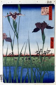 水鸢尾--宇川广重的日本版画。江户百景 作者 安藤或歌川广重
