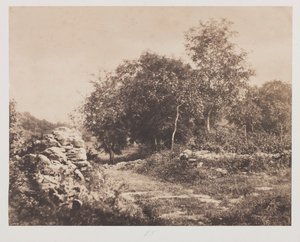 无题（枫丹白露场景）