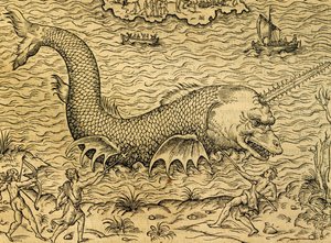 海怪，来自《宇宙学》的雕刻，作者安德烈-特维特（1504-1592），巴黎