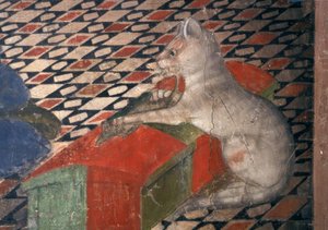 Atri，Dom，Katze - A.Delitio 作者 安德里亚·德利蒂奥（Andrea Delitio）