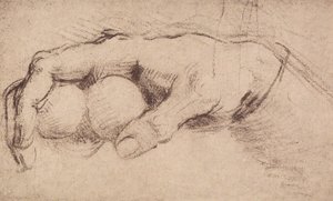 一只手;画画 作者 安德里亚·德尔·萨托（Andrea del Sarto）