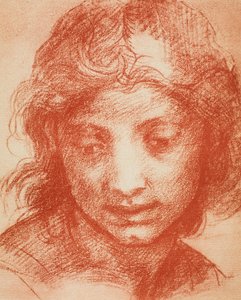 男孩头 作者 安德里亚·德尔·萨托（Andrea del Sarto）