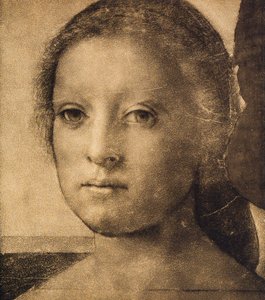 一名年轻女子的头，由Andrea del Sarto绘制。内阁图纸和版画，乌菲齐画廊，佛罗伦萨 作者 安德里亚·德尔·萨托（Andrea del Sarto）