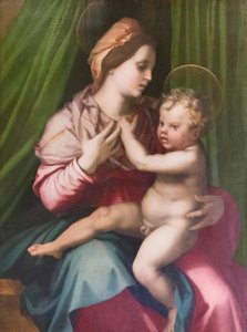 圣母与圣婴 作者 安德里亚·德尔·萨托（Andrea del Sarto）