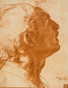 男头 作者 安德里亚·德尔·萨托（Andrea del Sarto）