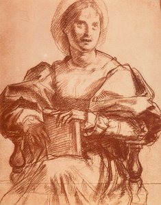 Lucrezia del Fede的肖像 作者 安德里亚·德尔·萨托（Andrea del Sarto）